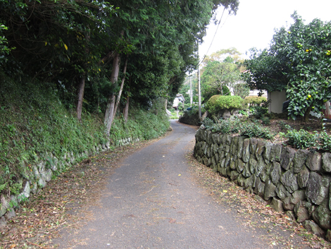20191024hike (10)